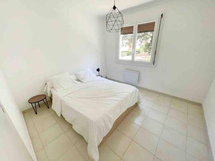 Appartement Spacieux Avec Parking Gratuit Sète Eksteriør billede